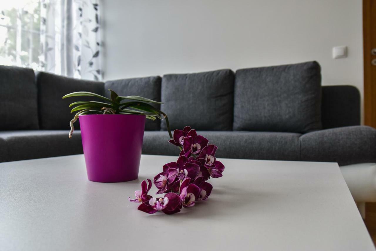 Mardi Downtown Apartment Tallinn Dış mekan fotoğraf